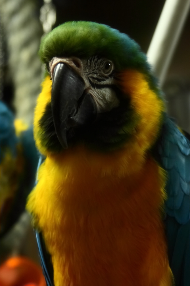 2012 08 03 9999 620e